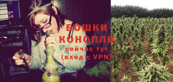 каннабис Новозыбков