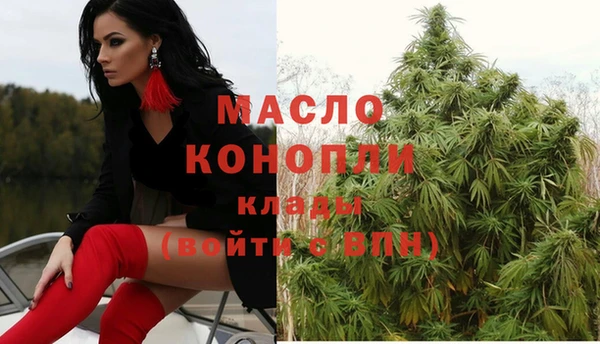 сатива Новокубанск