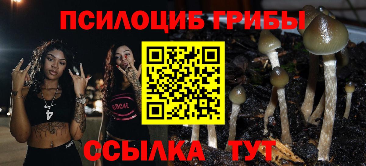 Псилоцибиновые грибы Magic Shrooms Владикавказ