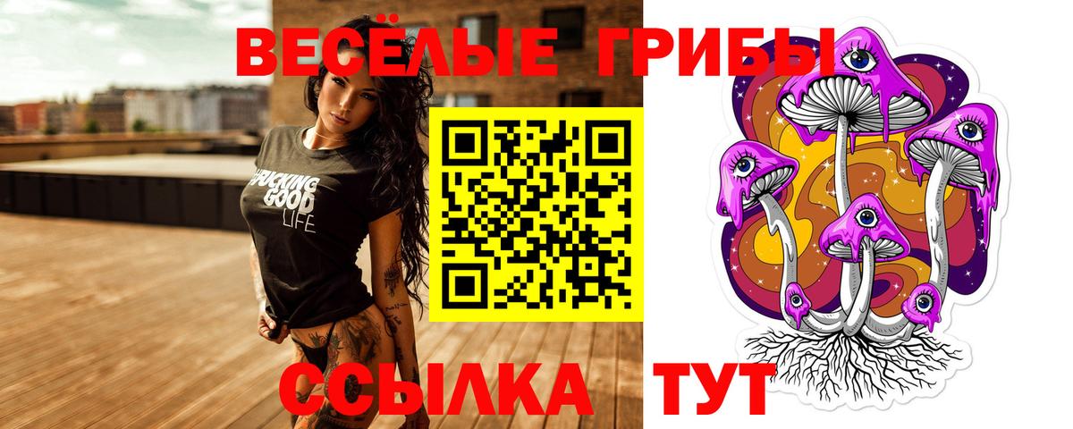 Галлюциногенные грибы мухоморы Владикавказ